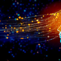 neural connections