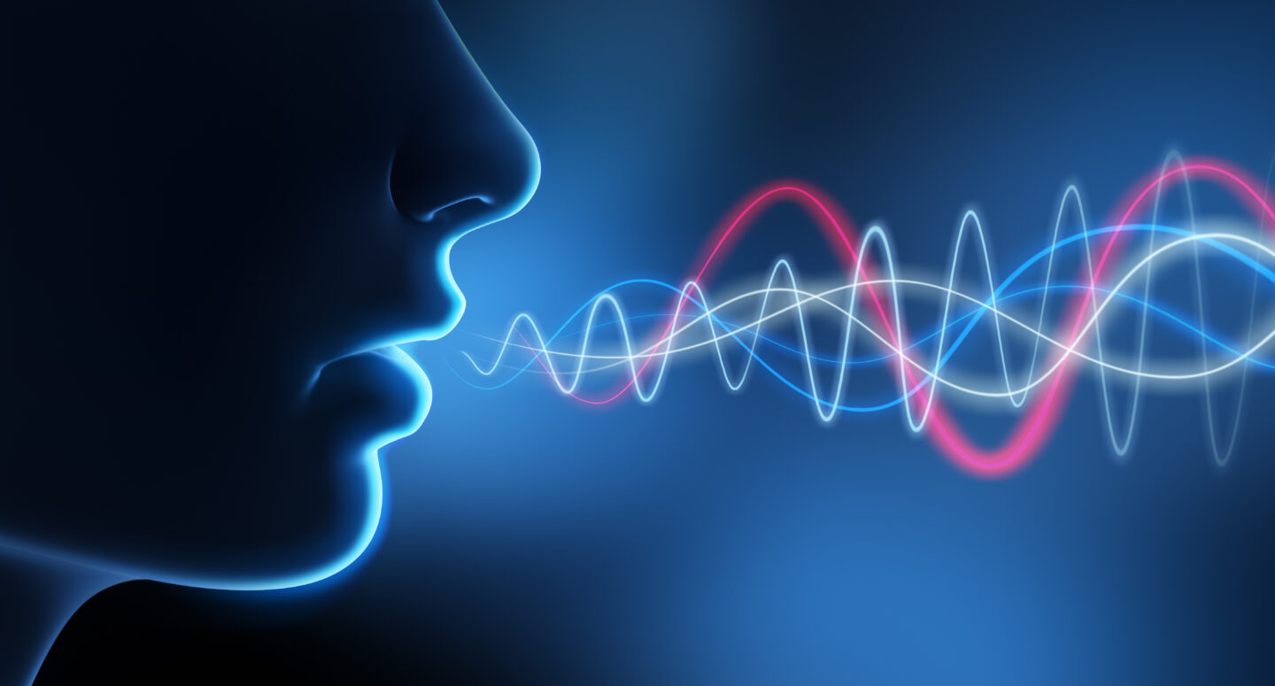 voice