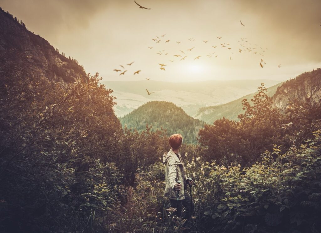 Woman facing mountains and forests in the horizon - IMD Business School