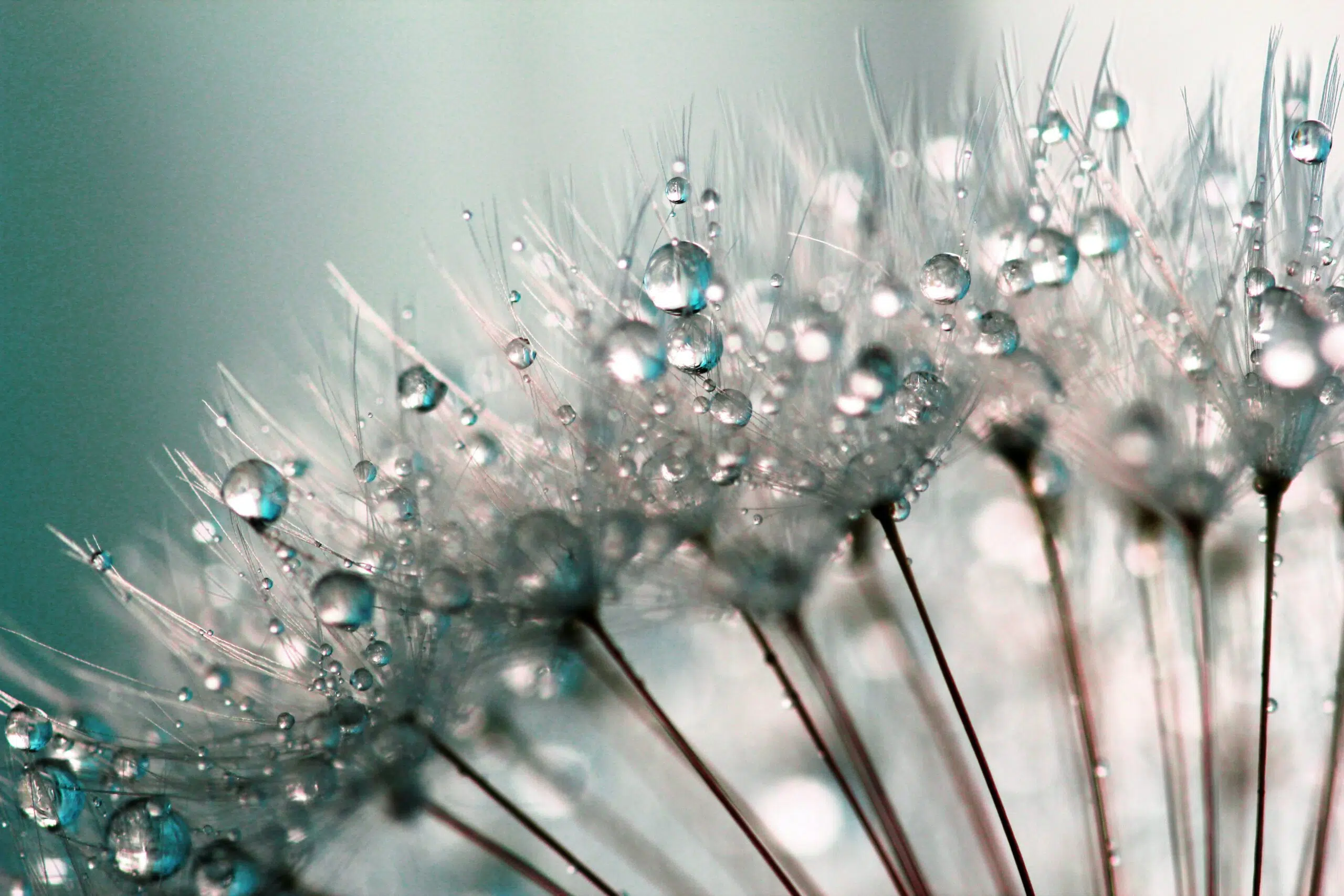 Flat or spiky? How best to tap the talents of the neurodiverse