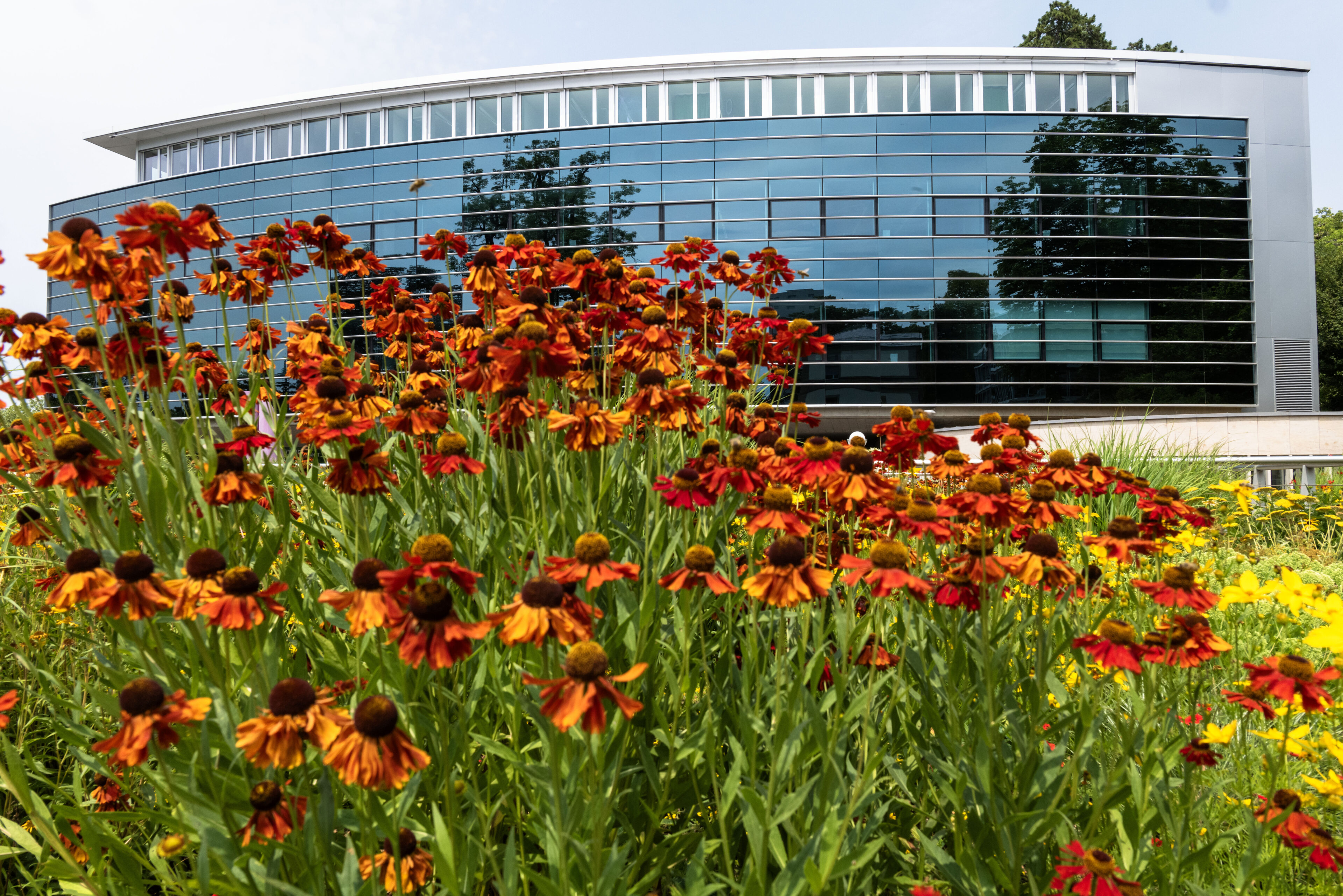 imd sustainability campus - IMD Business School