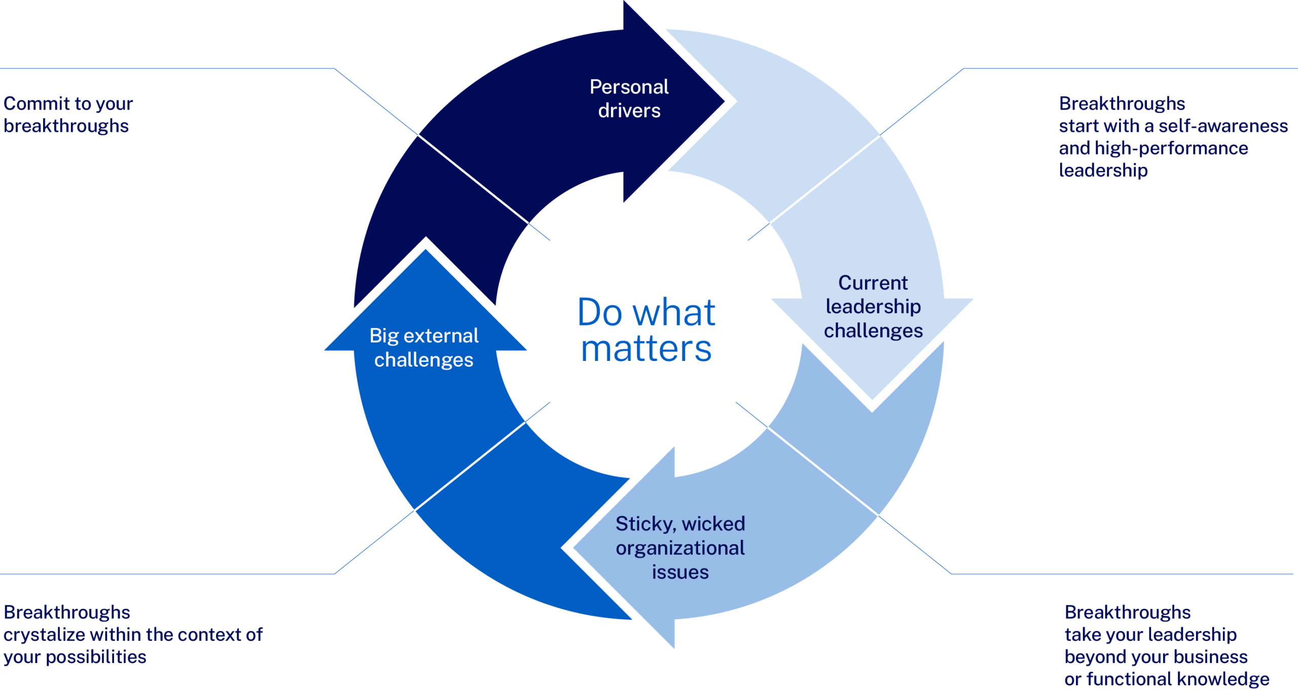 Breakthrough Program for Senior Executives - What you will learn