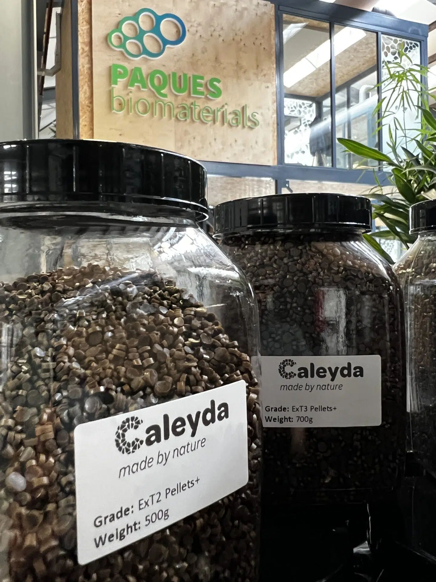Caleyda - IMD Business School - IMD Business School
