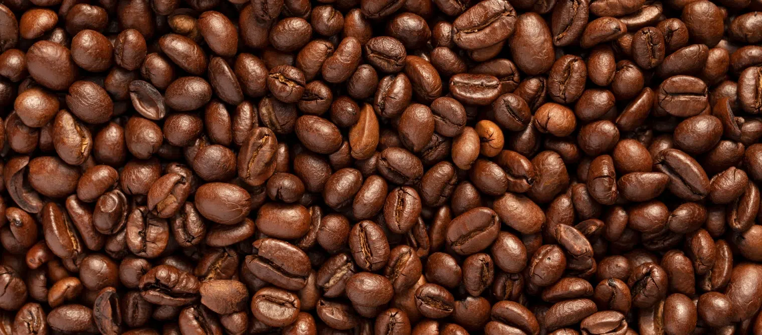 Building the Javabot experience: How Roasting Plant found the strategy to match its tech