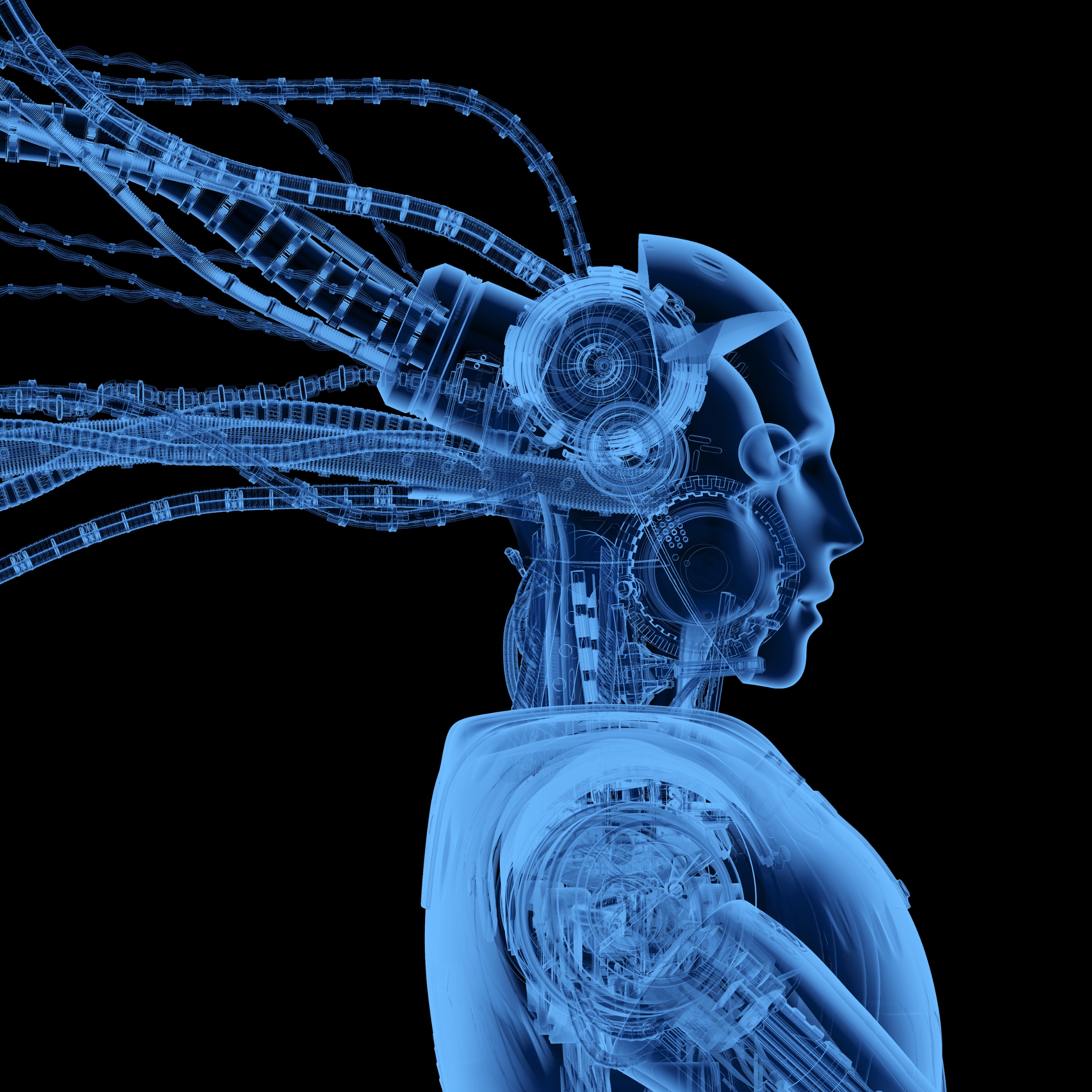 Figure images size 6