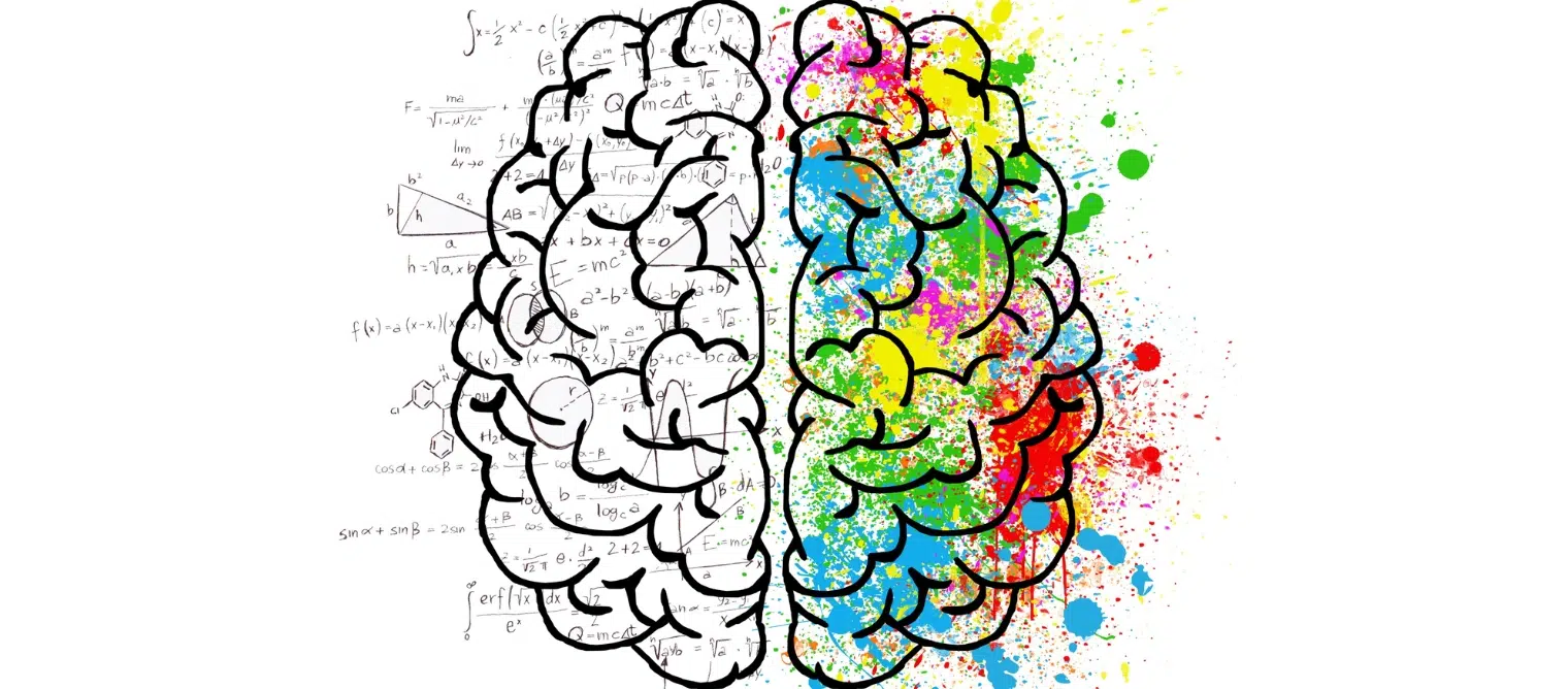What we can learn from Kahneman, fast and slow