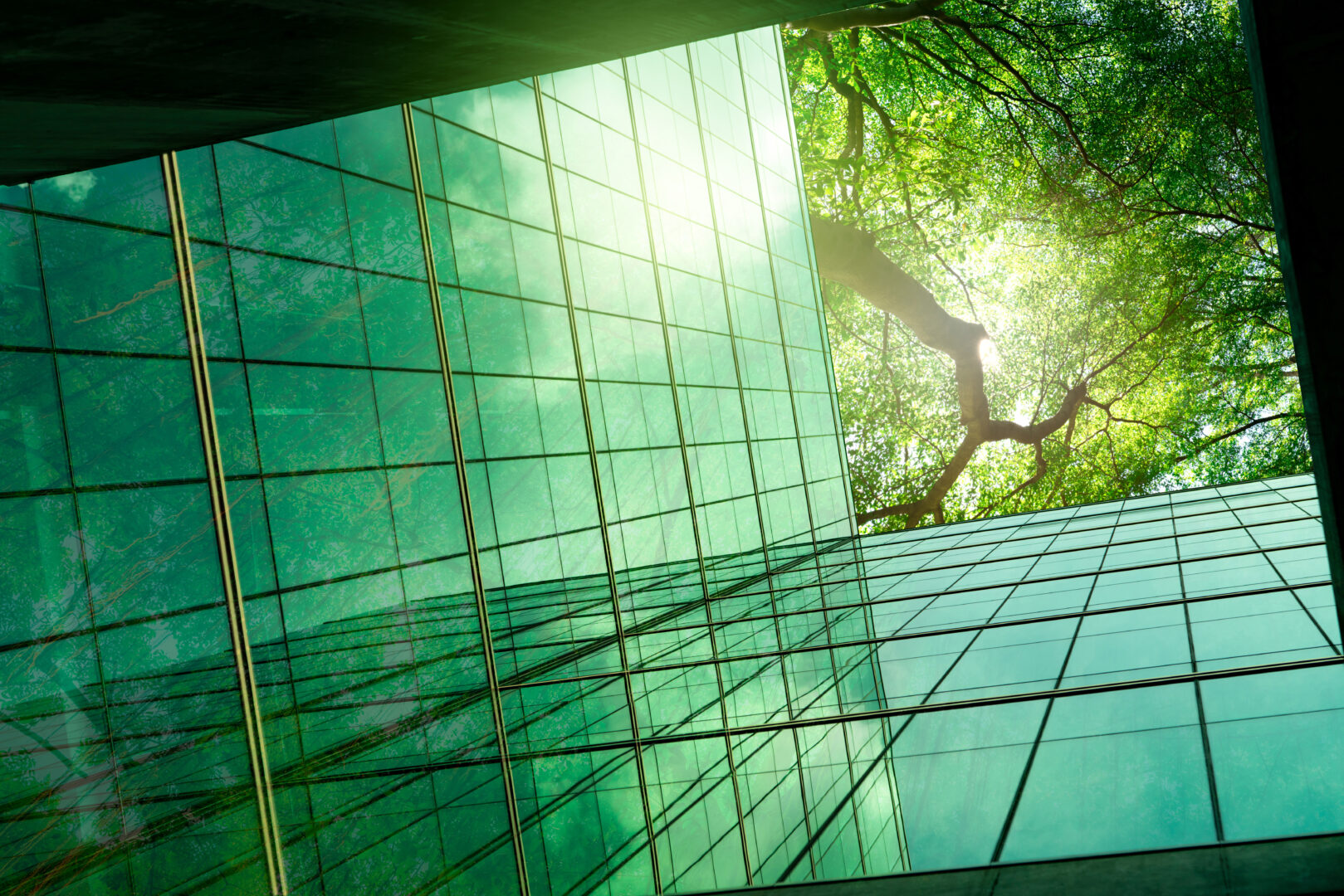 Sustainble green building Eco-friendly building in modern city ESG Sustainable glass office building with green tree Office with green environment Corporate sustainability Net zero emission - IMD Business School - IMD Business School