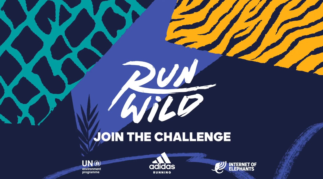 Run WIld Campaign – Internet of Elephants Internet of Elephants - Run WIld