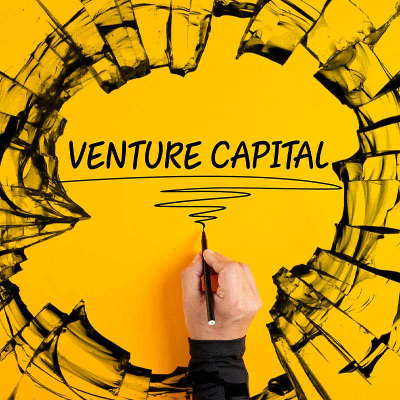 Venture Capital