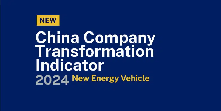 20240703-2024-CCTI-new-energy-vehicle_small-card-new-740x374 - IMD Business School