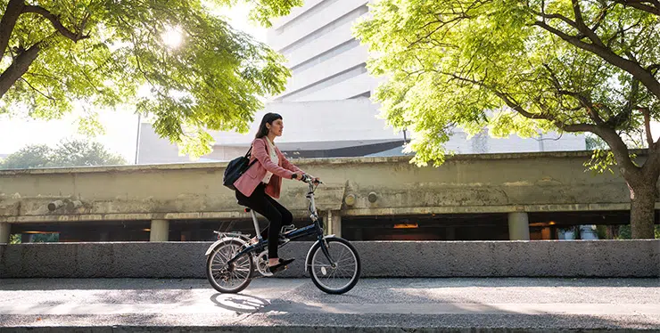Women leading the way in sustainability: Shaping a greener future