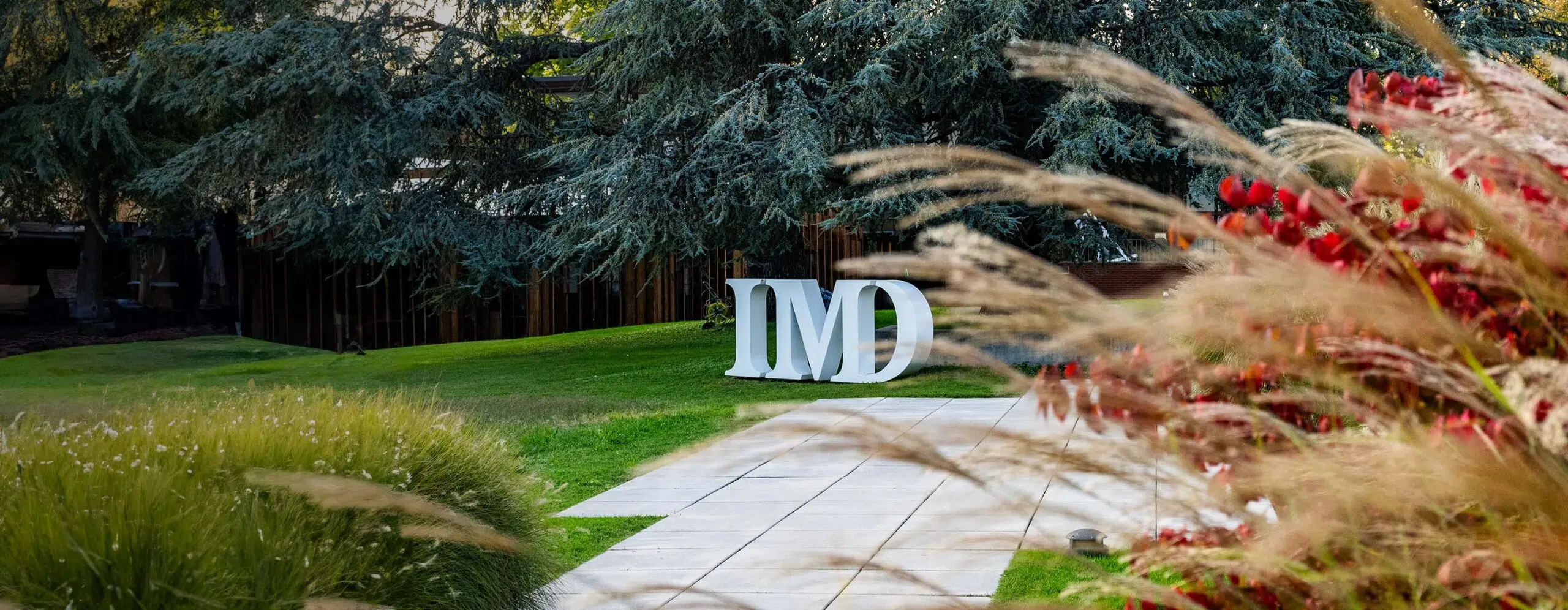 20240807-Executives-in-residence-Top-banner-2880x1120 - IMD Business School