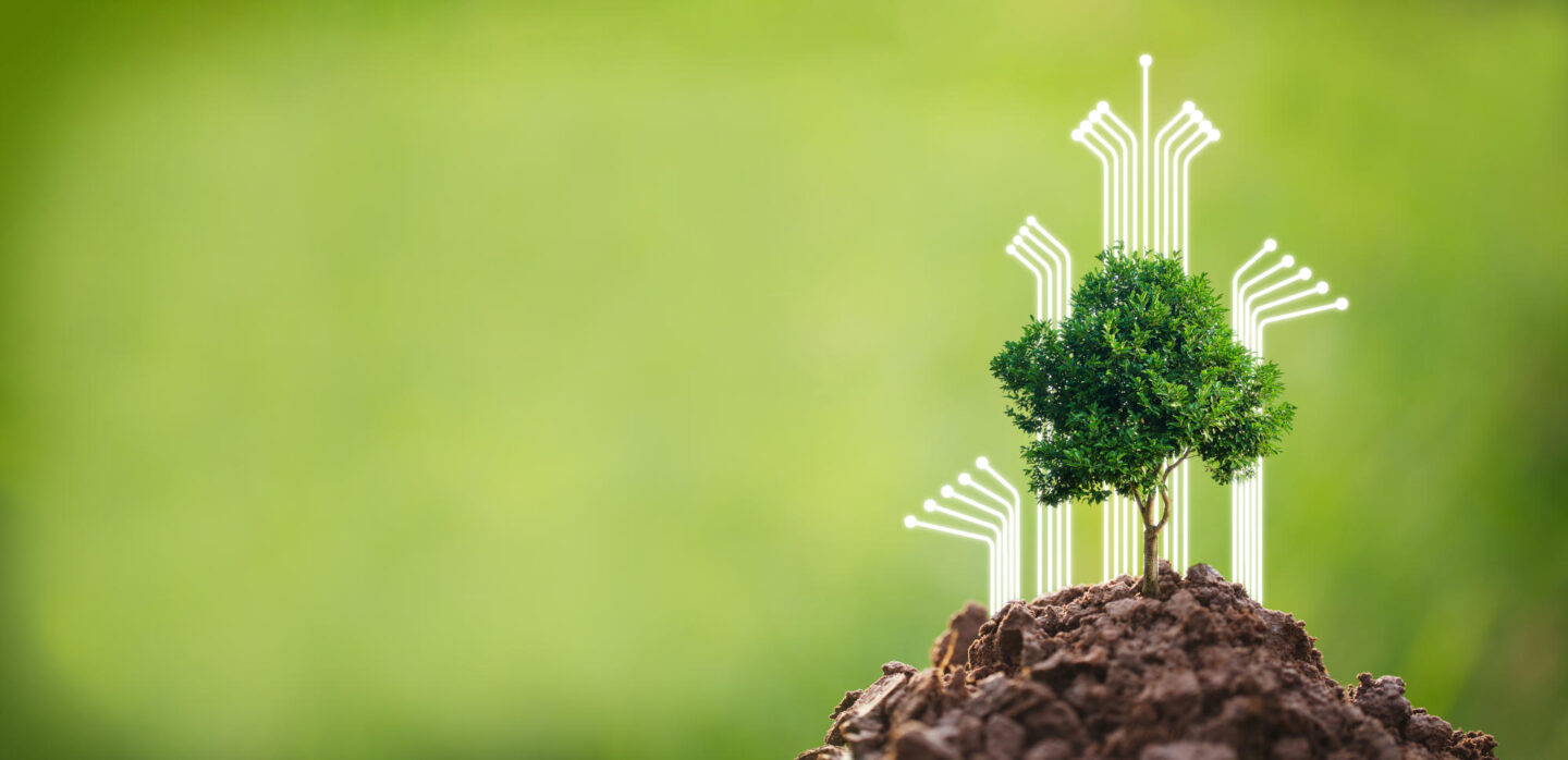 Doing CSR by planting trees, CSR concept and business planting saplings of trees