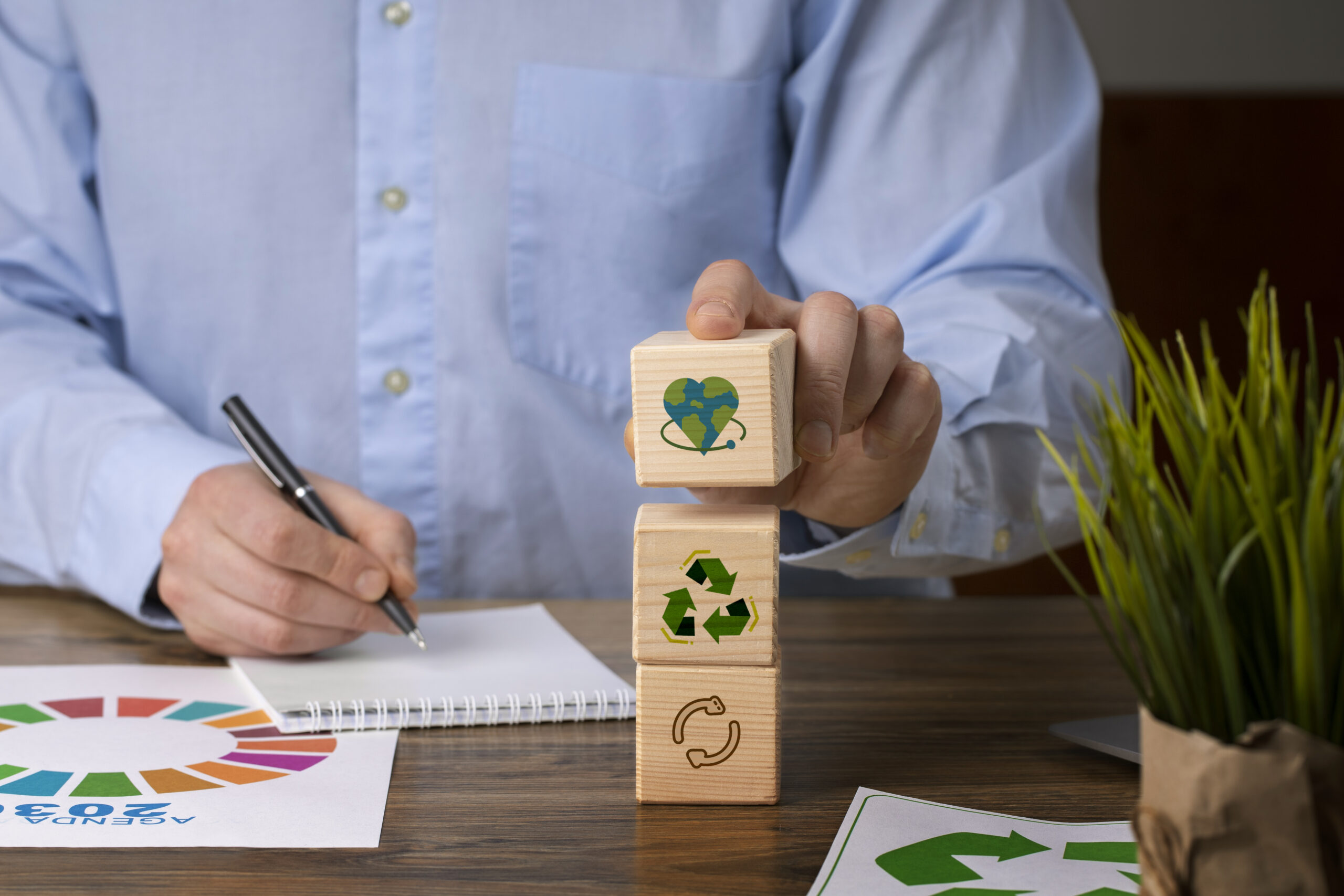 man implementing esg policies - IMD Business School