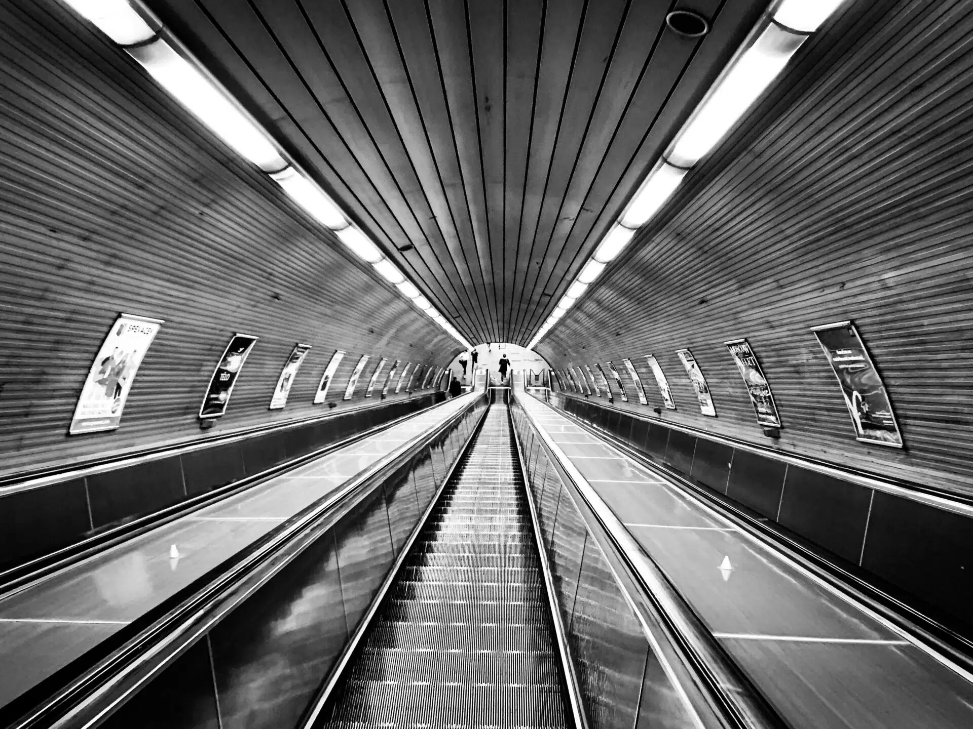 Breadth or depth of experience: Which should you prioritize?