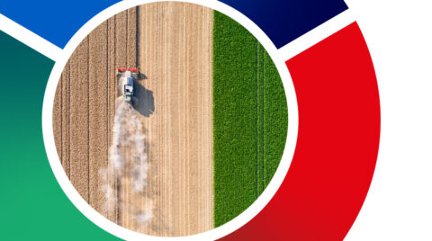 2024-STI-Webinar-RELIVE-IbyIMD-VideoHeader-1220x680 - IMD Business School