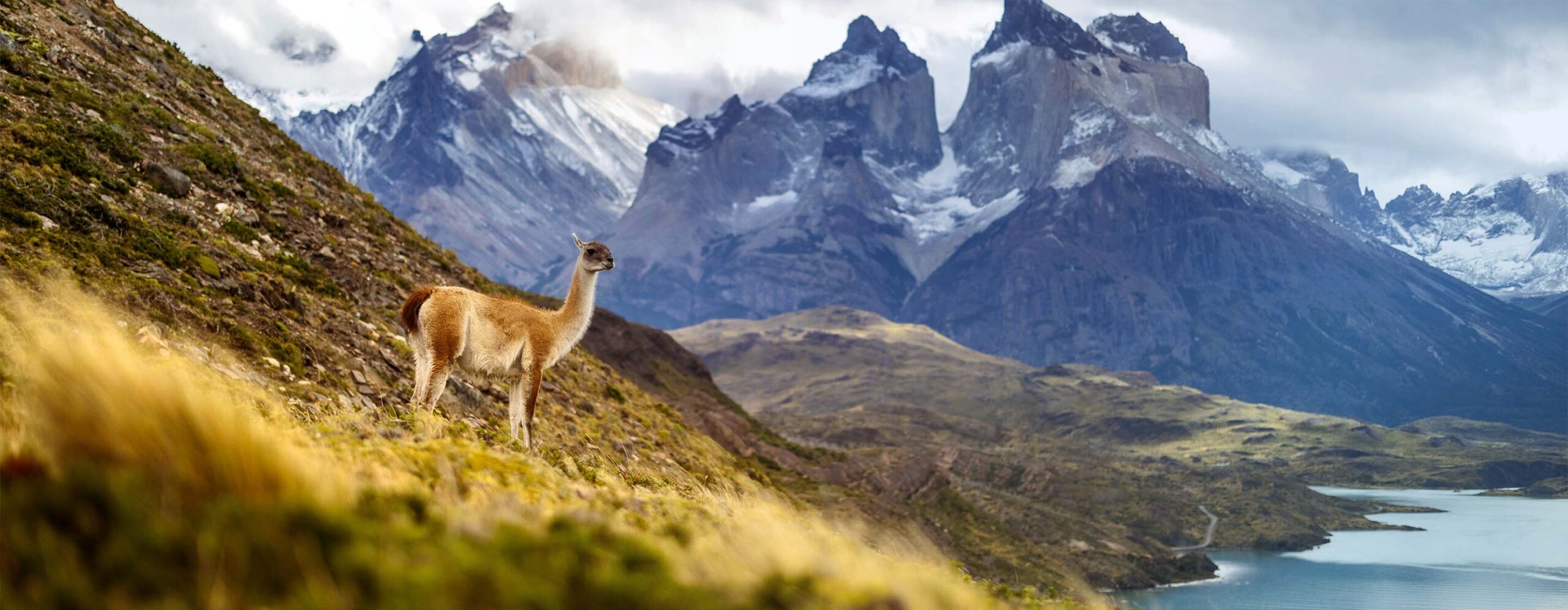 2024STI-Chile-top-banner-2880×1120 - IMD Business School