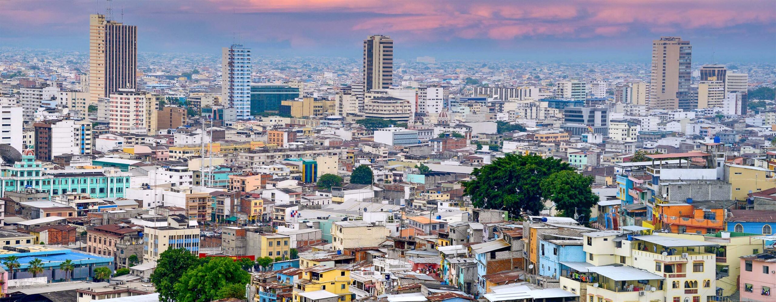 2024STI-Ecuador-top-banner-2880×1120 - IMD Business School