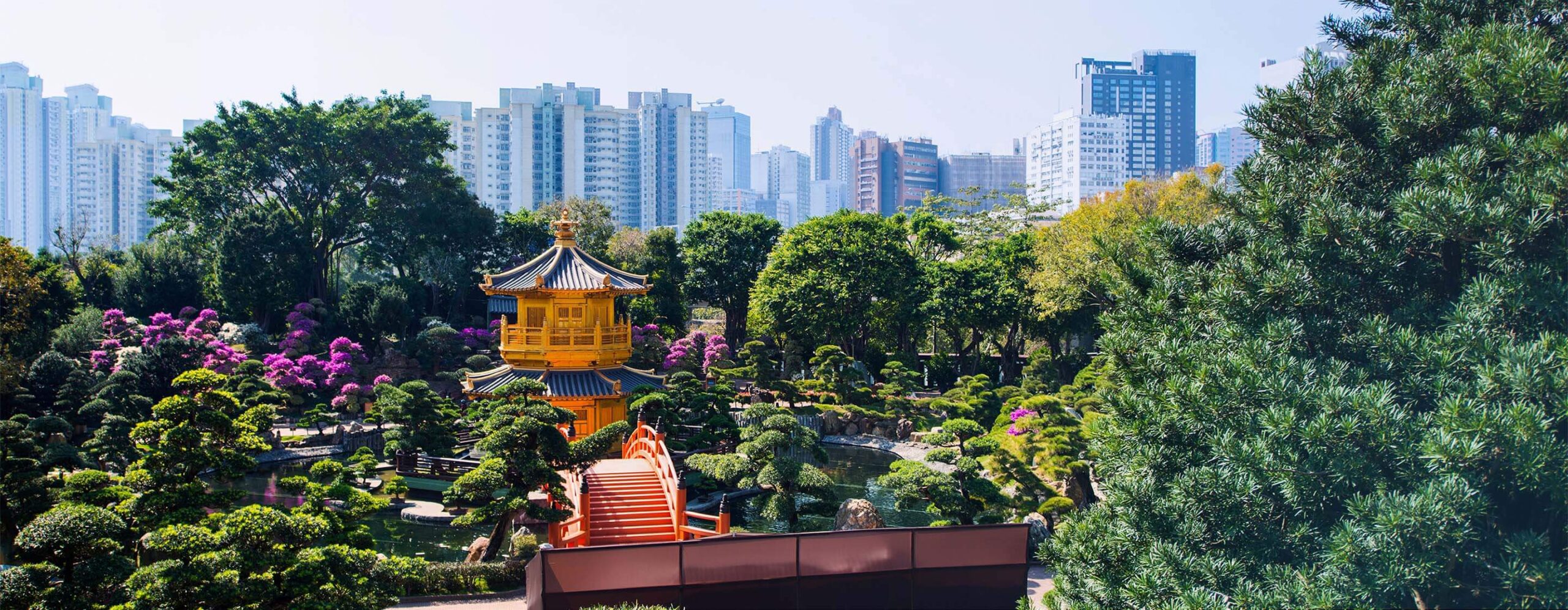 2024STI-Hong-Kong-top-banner-2880×1120 - IMD Business School