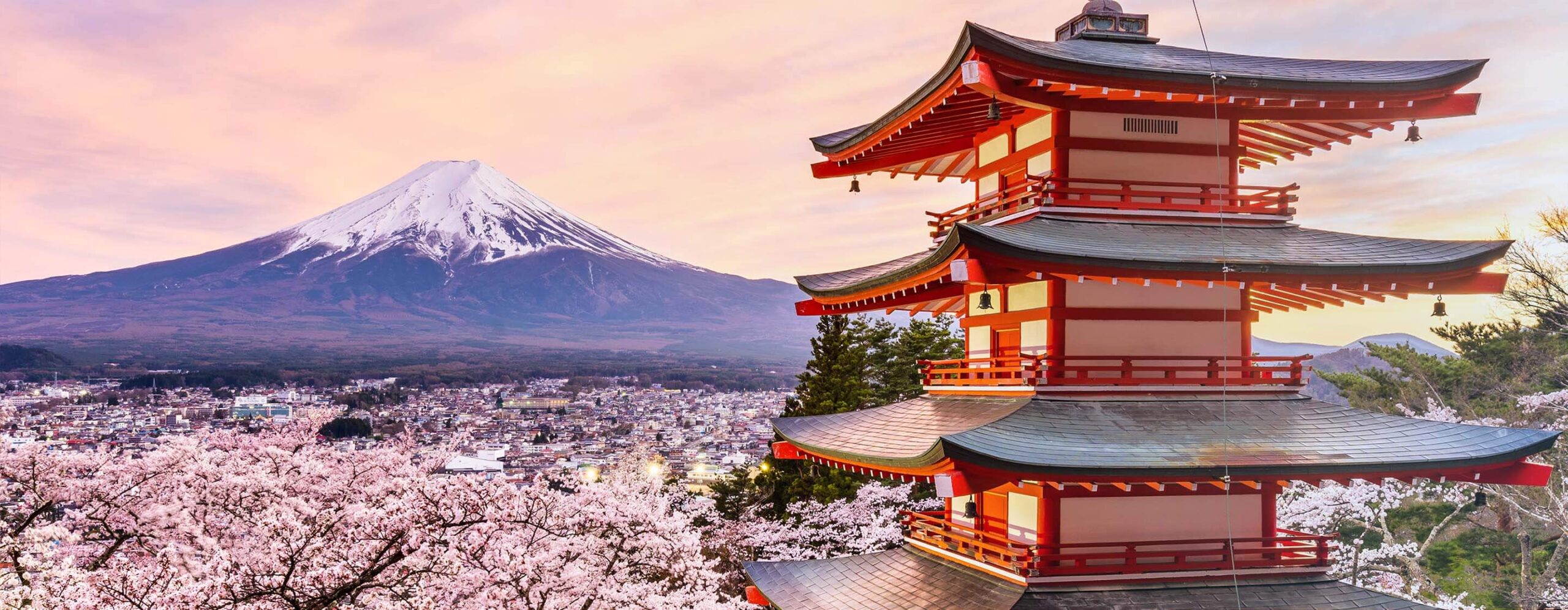 2024STI-Japan-top-banner-2880×1120 - IMD Business School