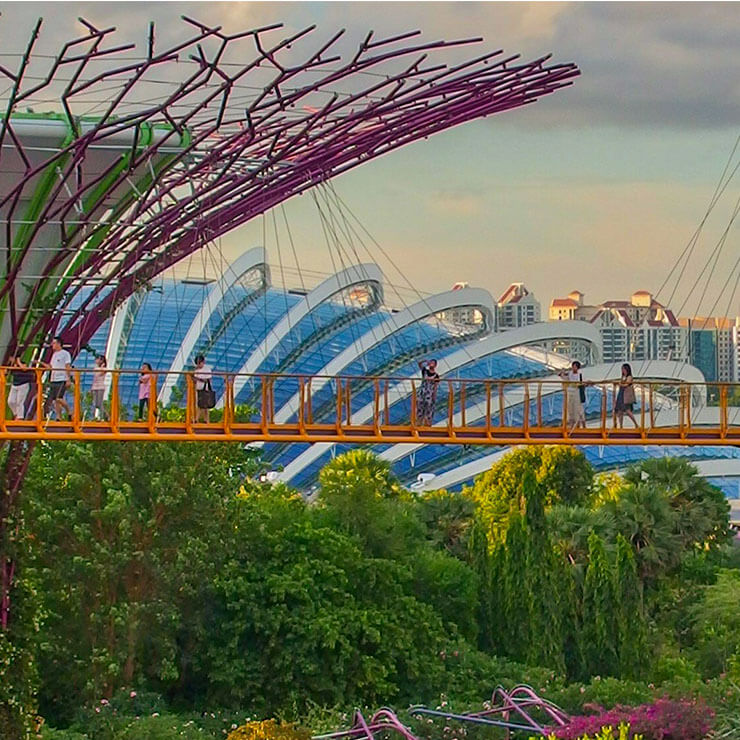 2024STI-Singapore-grid-740×740 - IMD Business School