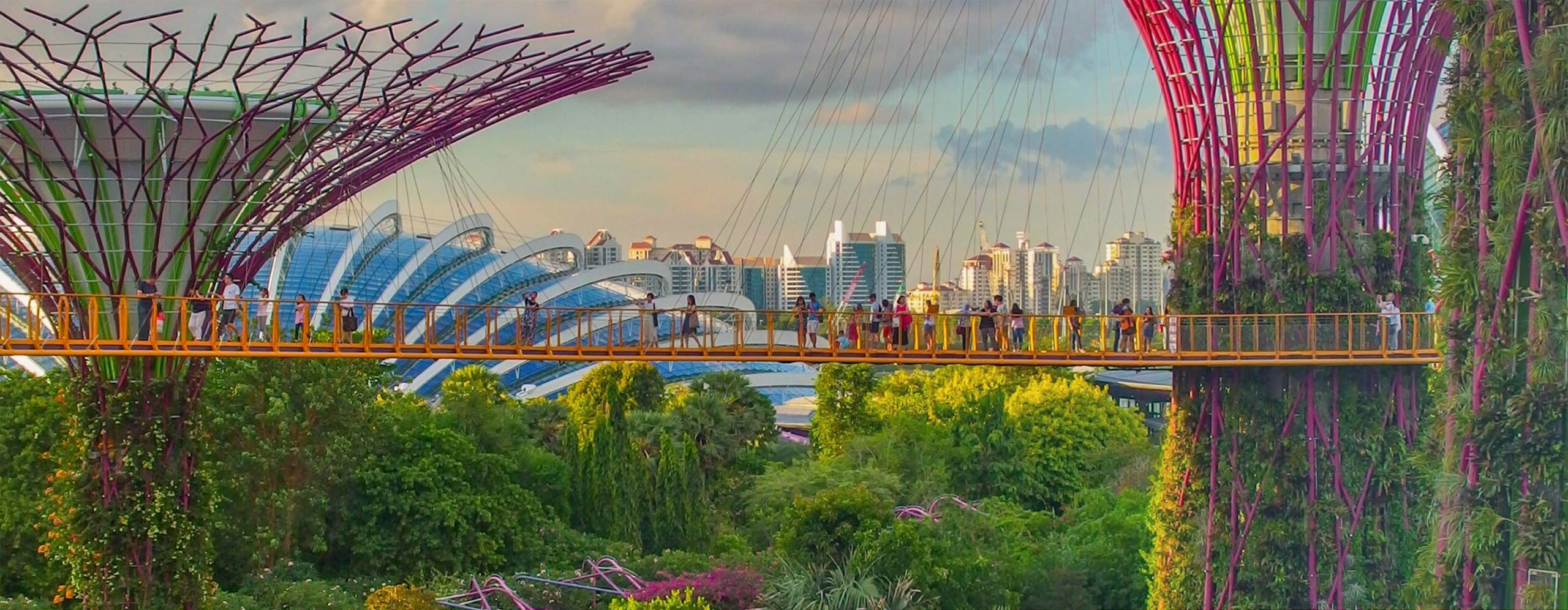 2024STI-Singapore-top-banner-2880×1120 - IMD Business School