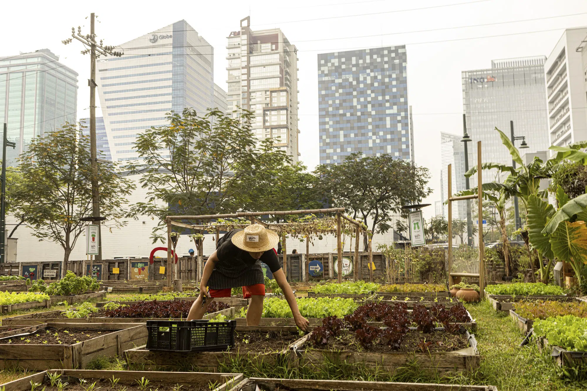 Urban-Farmers - IMD Business School