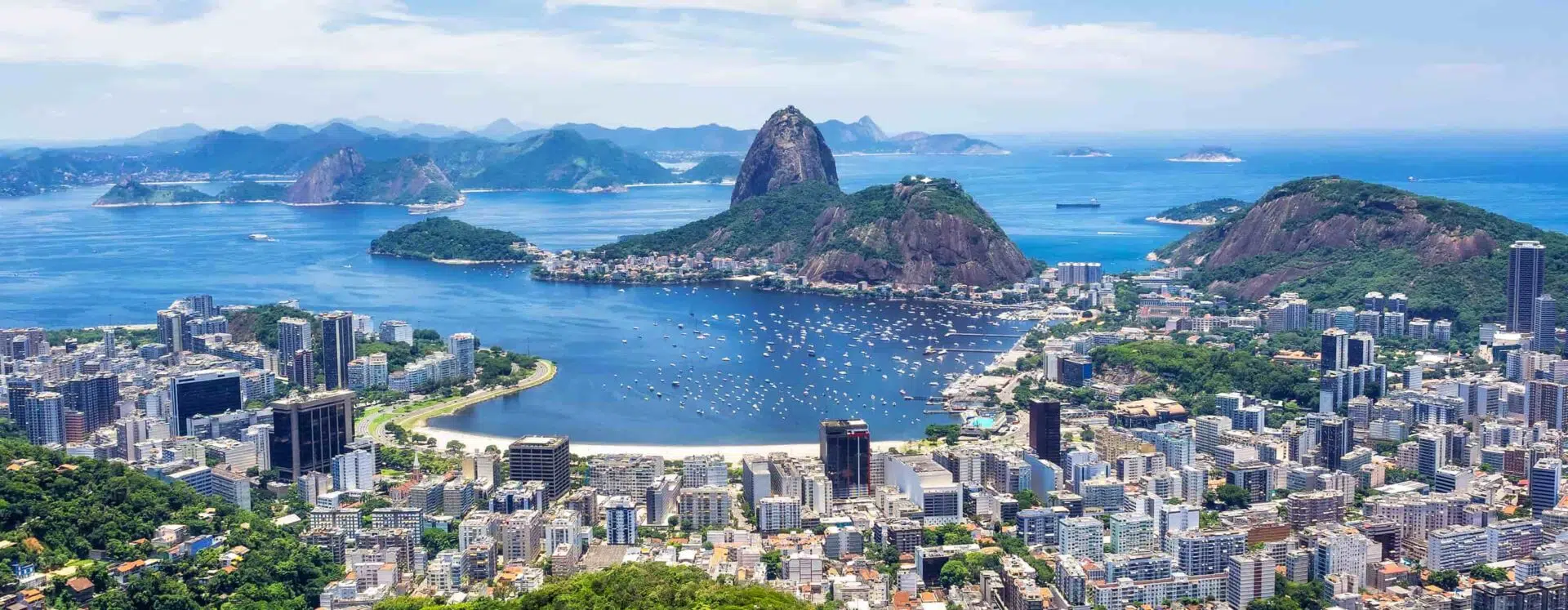Alumni-Club-Banners-Brazil-IMD-Website - IMD Business School