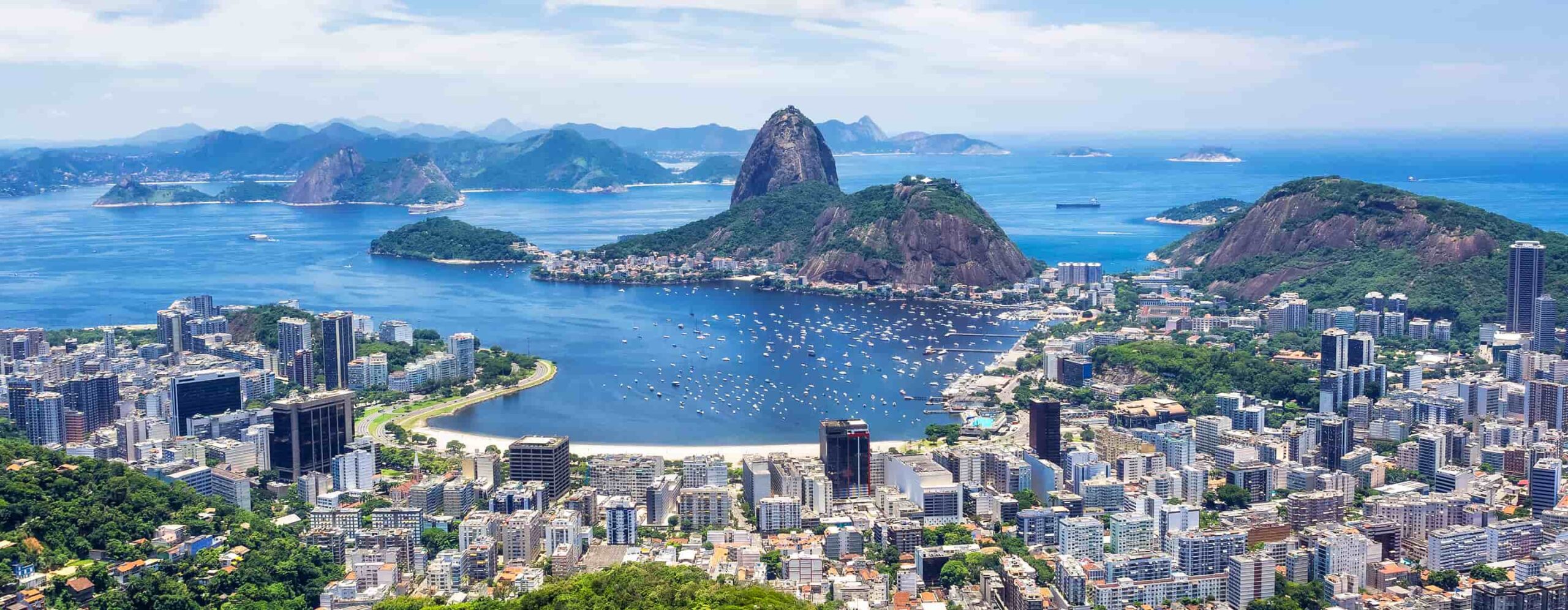 Alumni-Club-Banners-Brazil-IMD-Website - IMD Business School