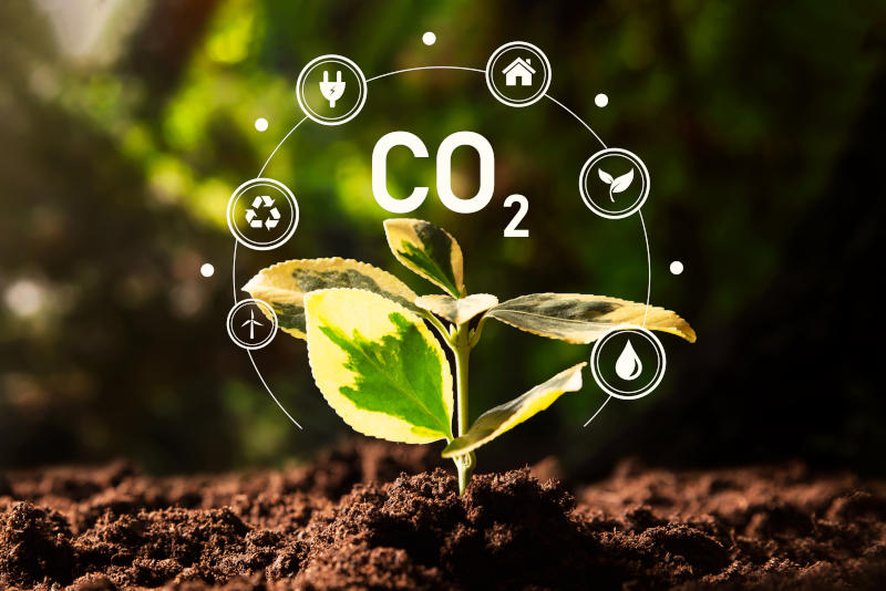 Carbon dioxide CO2 emissions carbon footprint concept
