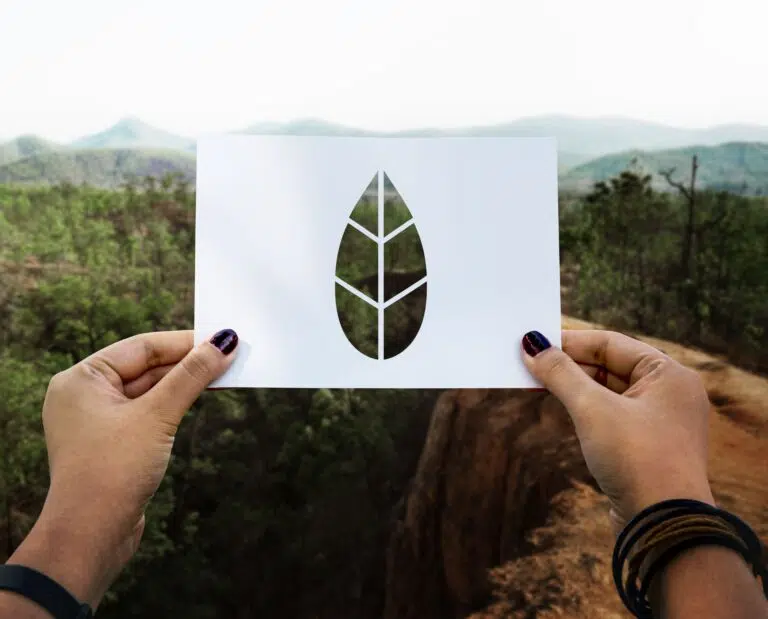 carbon footprint and emissions reduction - IMD Business School