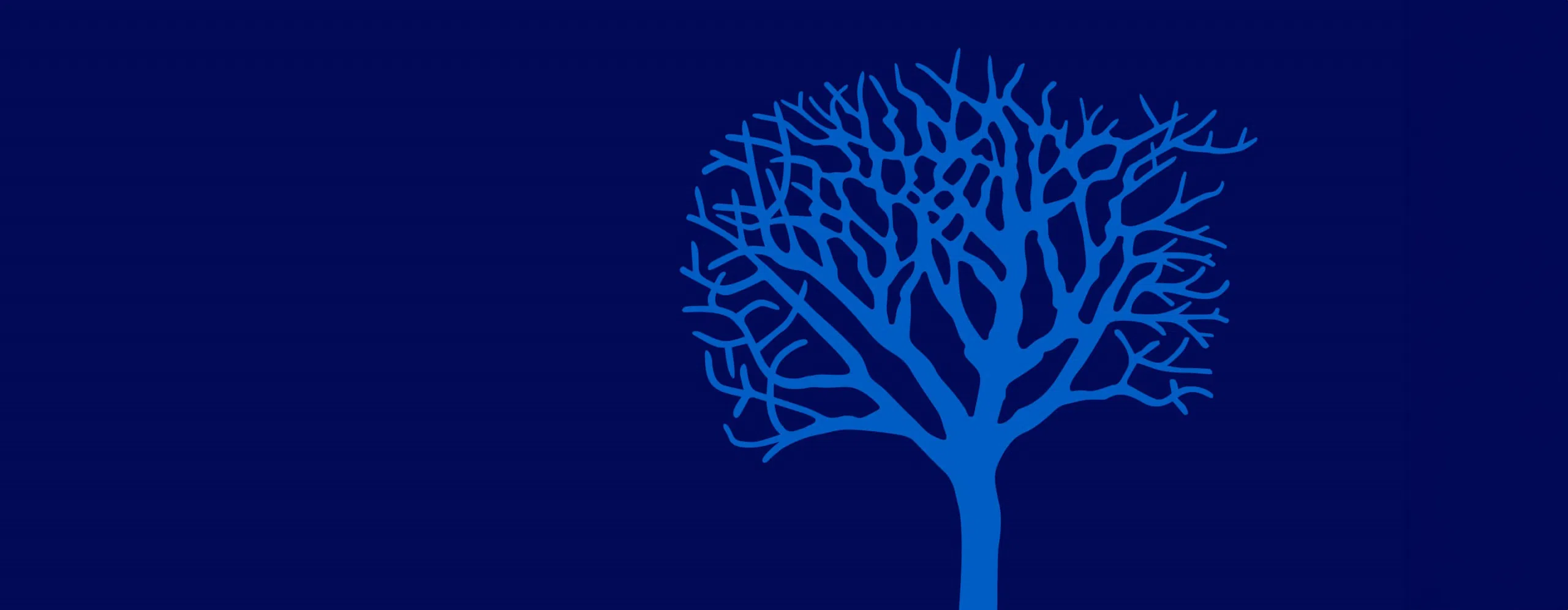 - IMD Business School