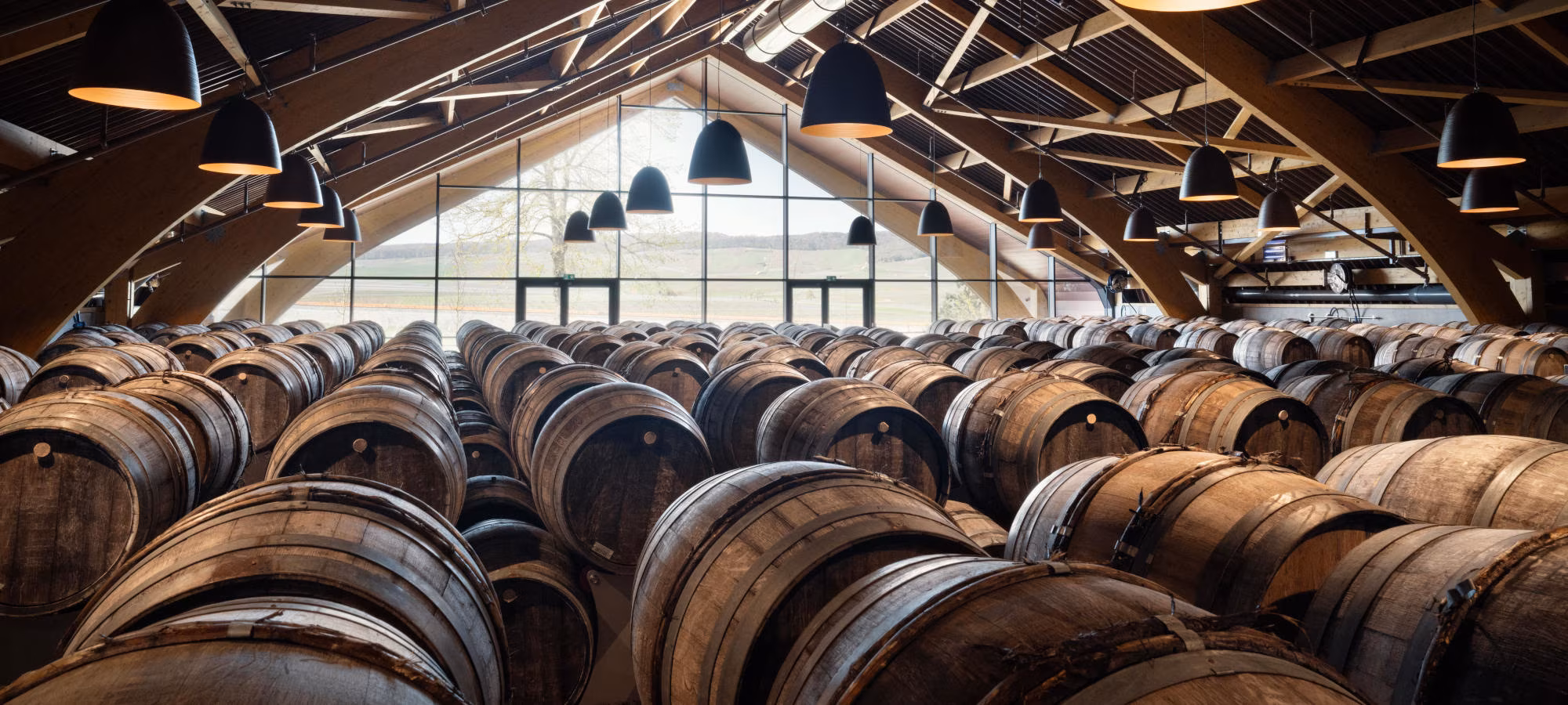 Joseph_New winery_8_Léo Ginailhac©Erell Digital