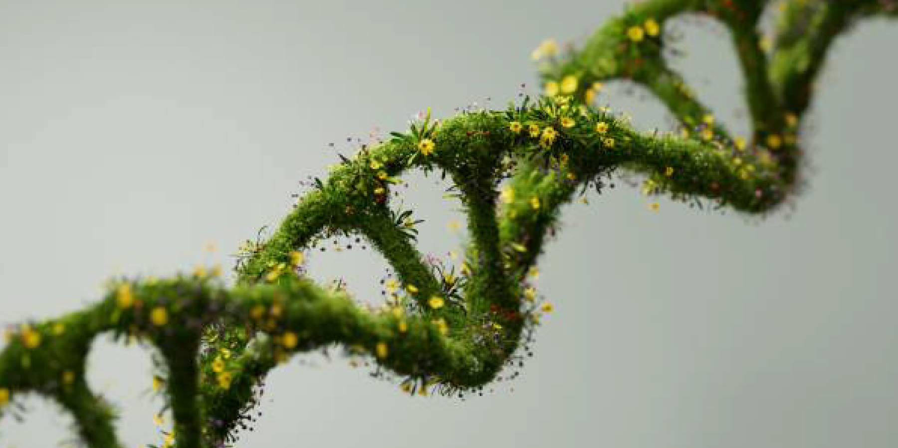 Lead-the-Change-Cover