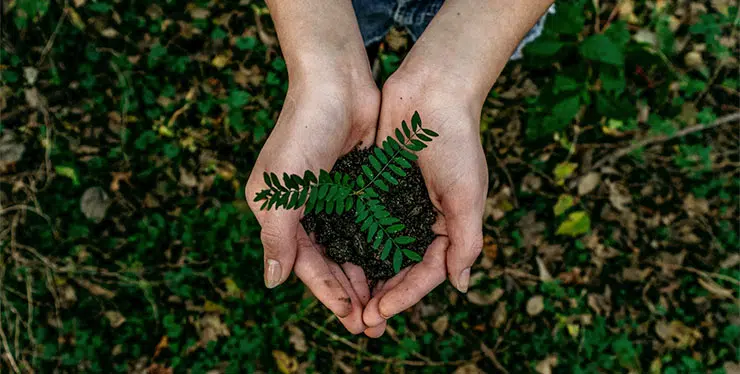 Sustainability reporting marks a window of opportunity that will close soon