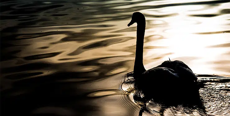 Three rupture points and one black swan ahead for luxury brands