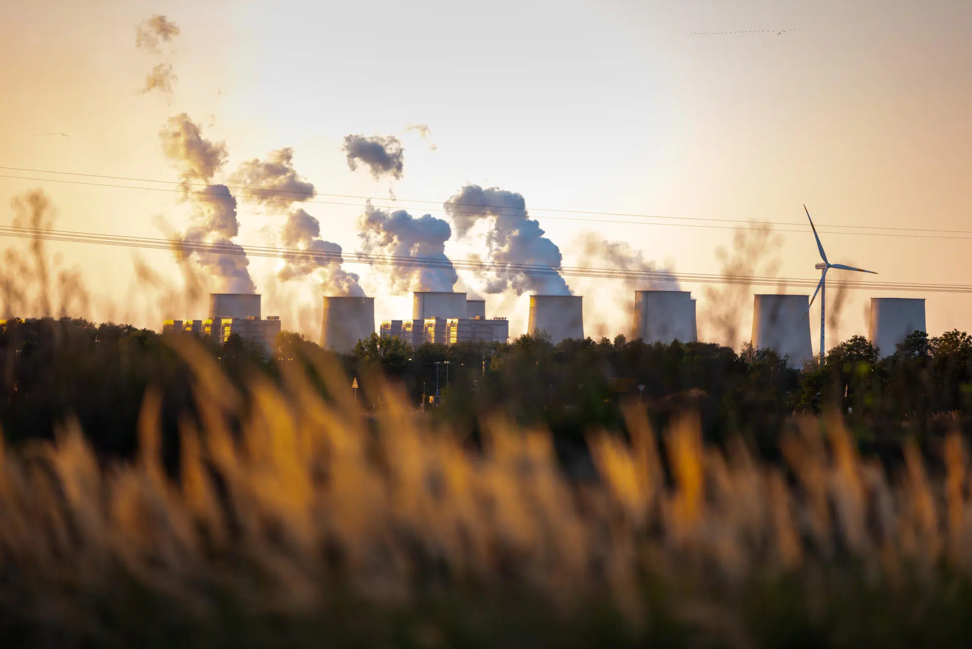 5 Things to Know - Energy Transition - 2025