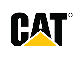 CAT logo - IMD Business School