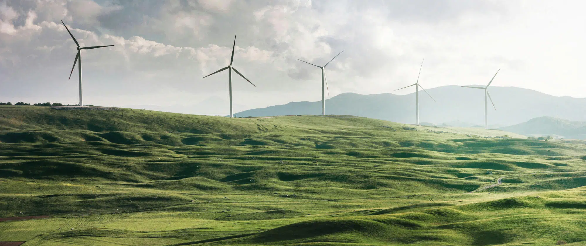 The power of ringfencing for an efficient green transition