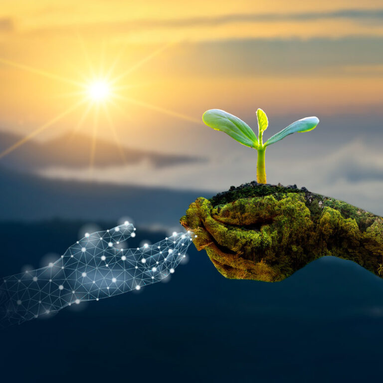 Algorithms and ecosystems: AI’s role in biodiversity conservation