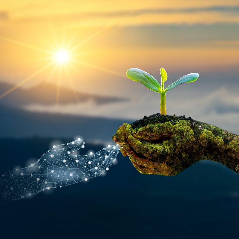 Algorithms and ecosystems: AI’s role in biodiversity conservation