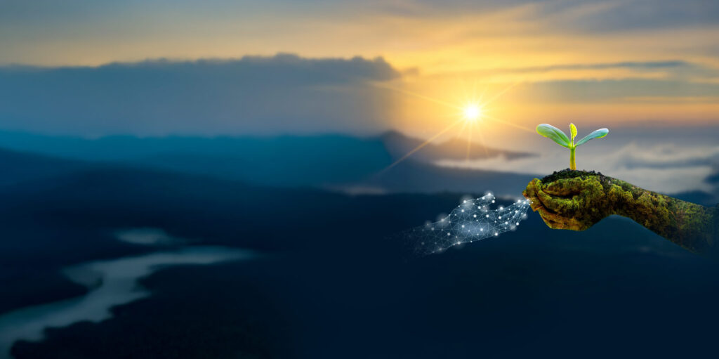 Algorithms and ecosystems: AI’s role in biodiversity conservation - IMD Business School - IMD Business School