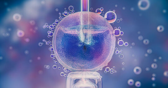 Annaida obtains undisclosed pre-series A funding - IMD Business School
