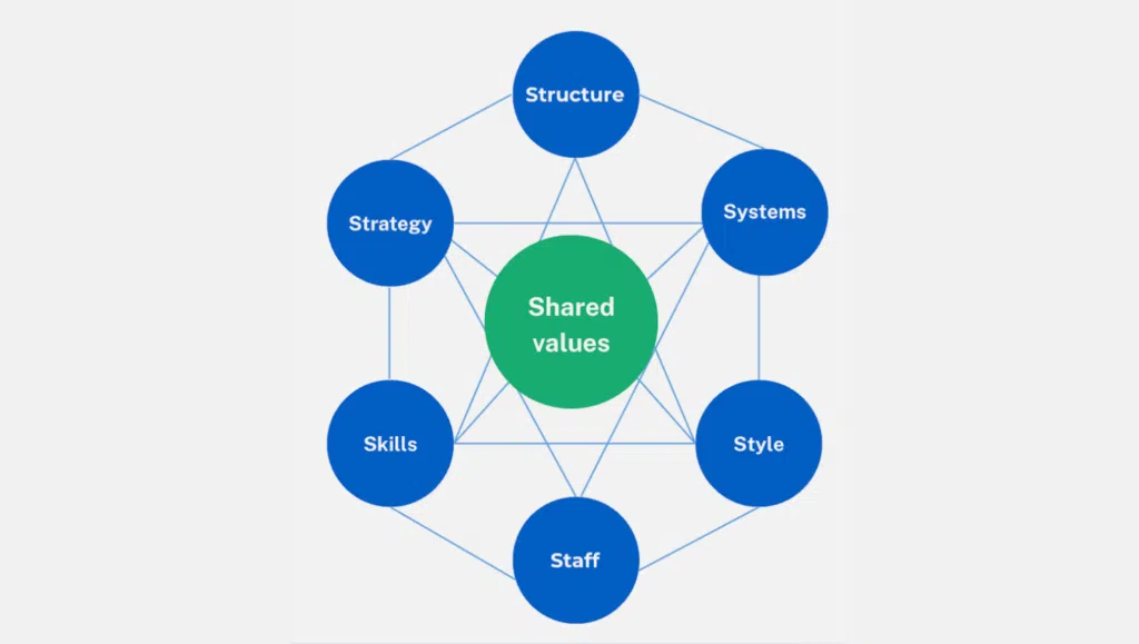 the structure of the mckinsey 7-s model - IMD Business School