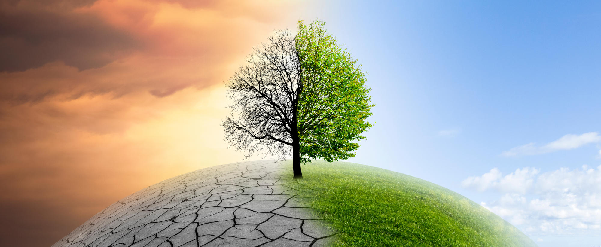 Climate crisis intensifying