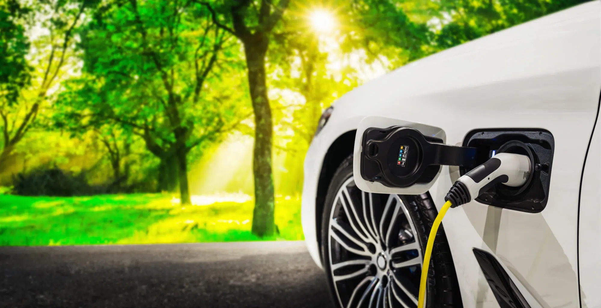 How BYD went above and BeYonD Tesla - Future Readiness