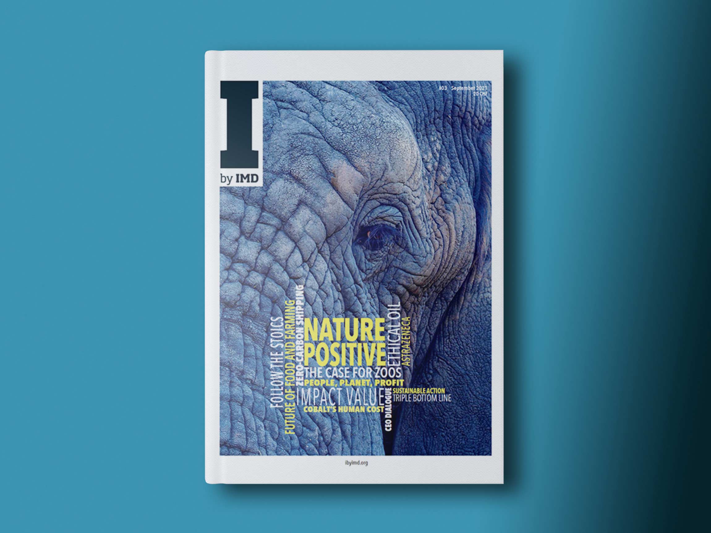 Sustainable leadership