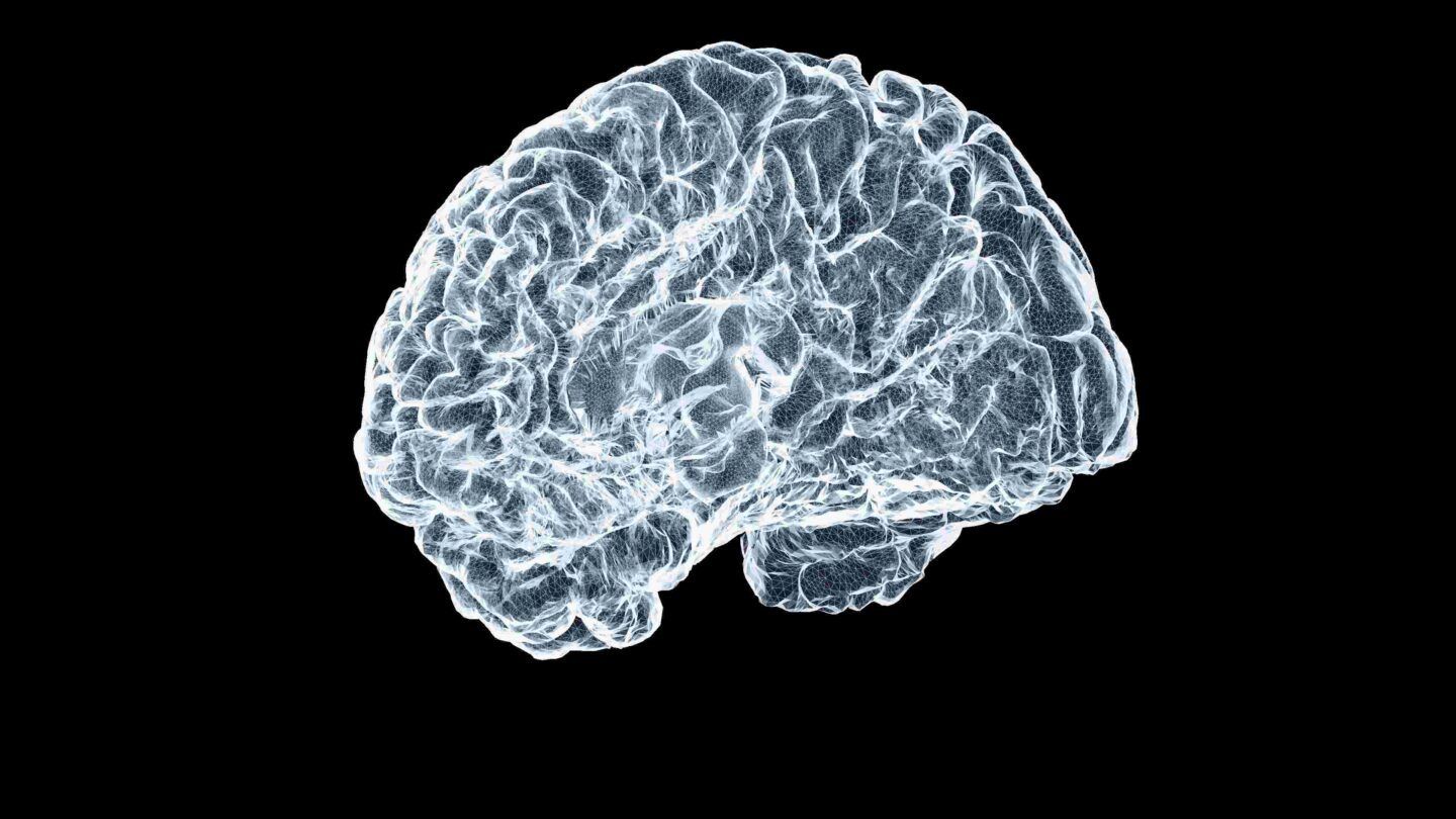 How to train your brain to thrive amid the strain