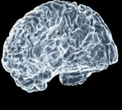 How to train your brain to thrive amid the strain