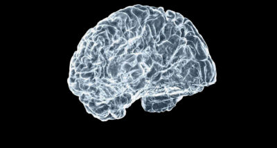 How to train your brain to thrive amid the strain